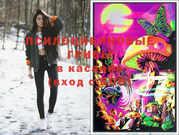2c-b Карпинск