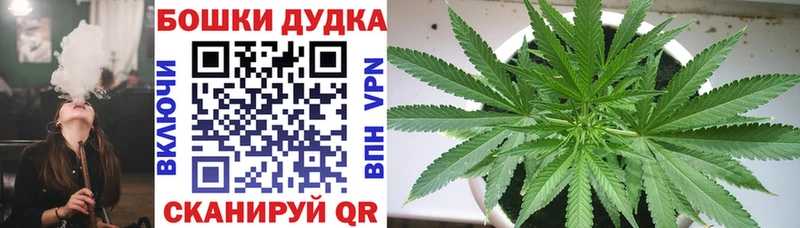 Канабис семена Кисловодск
